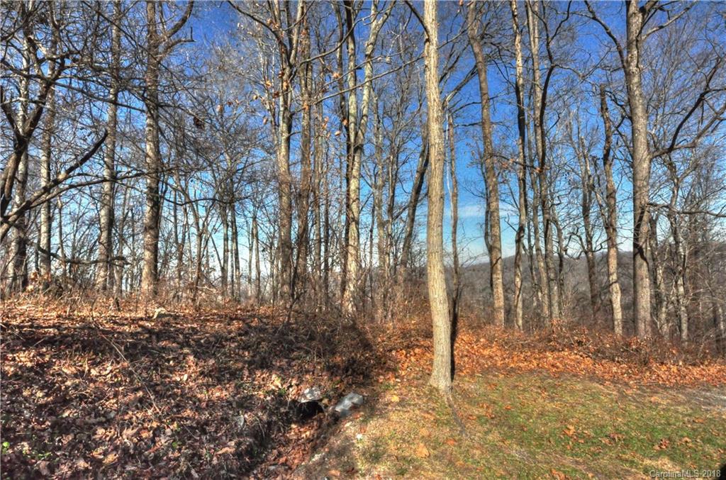 9999 Country Ridge Road Hendersonville, NC 28739 - Photo 5 of 15 a backyard of a house with lots of green space