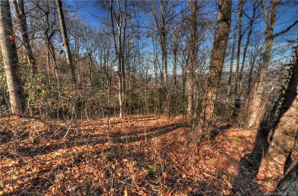9999 Country Ridge Road Hendersonville, NC 28739 - Photo 6 of 15 a view of a yard with large trees