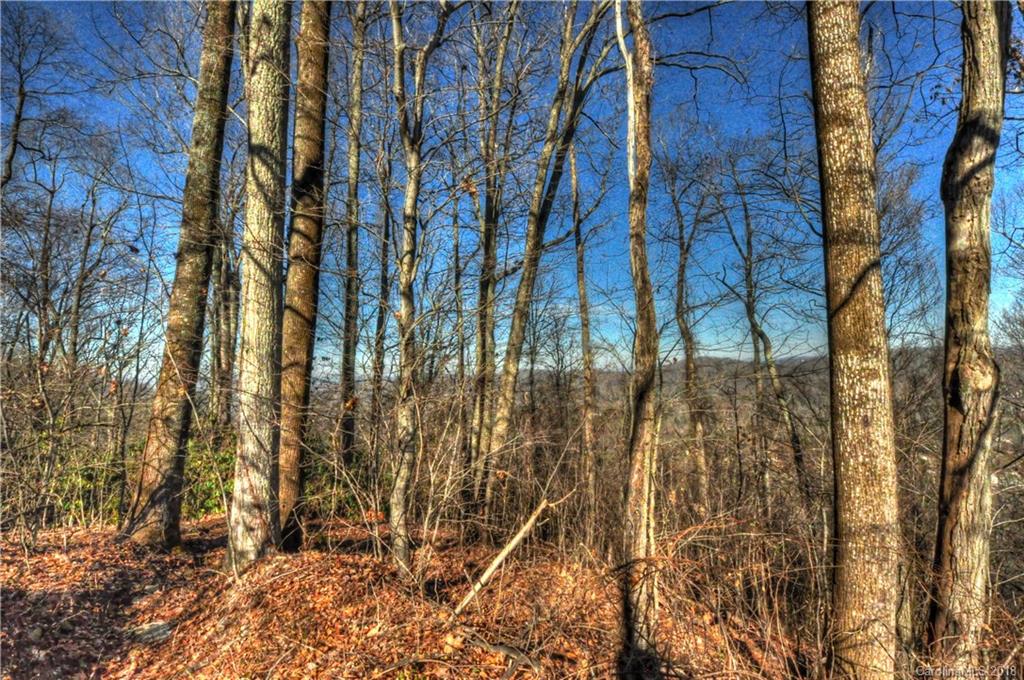 9999 Country Ridge Road Hendersonville, NC 28739 - Photo 7 of 15 a backyard of a house