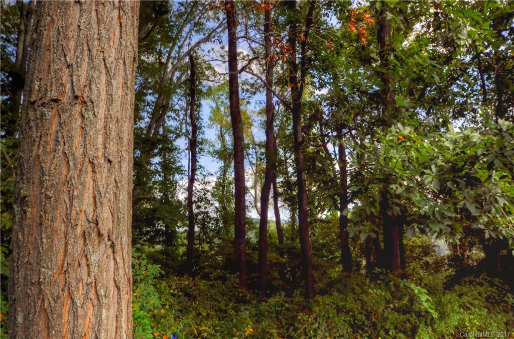 9999 Country Ridge Road Hendersonville, NC 28739 - Photo 8 of 15
