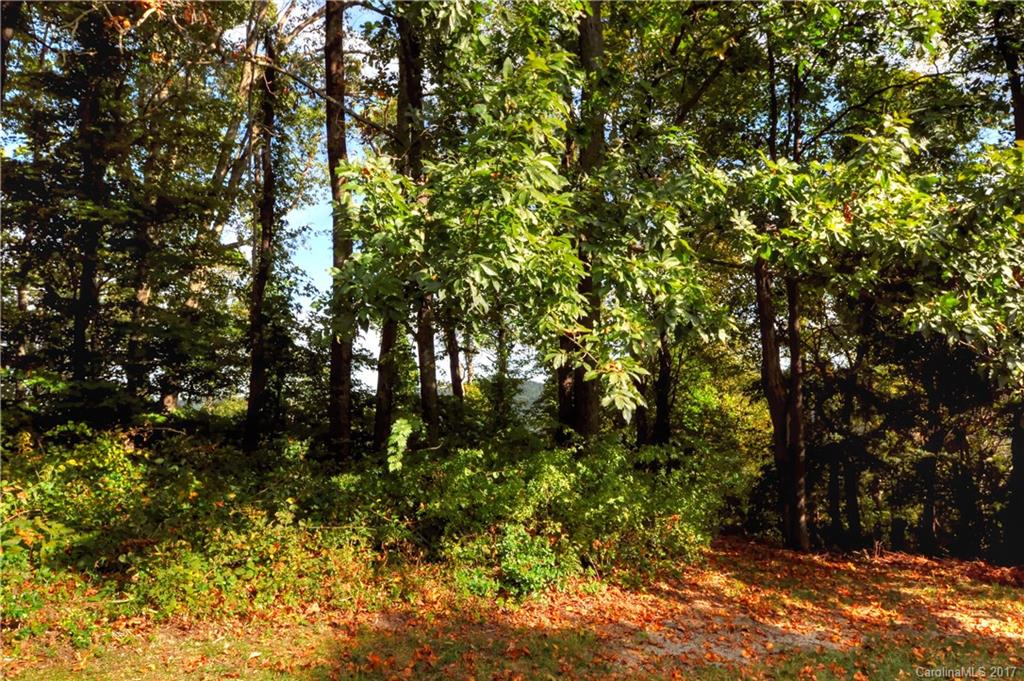 9999 Country Ridge Road Hendersonville, NC 28739 - Photo 10 of 15 a view of tree