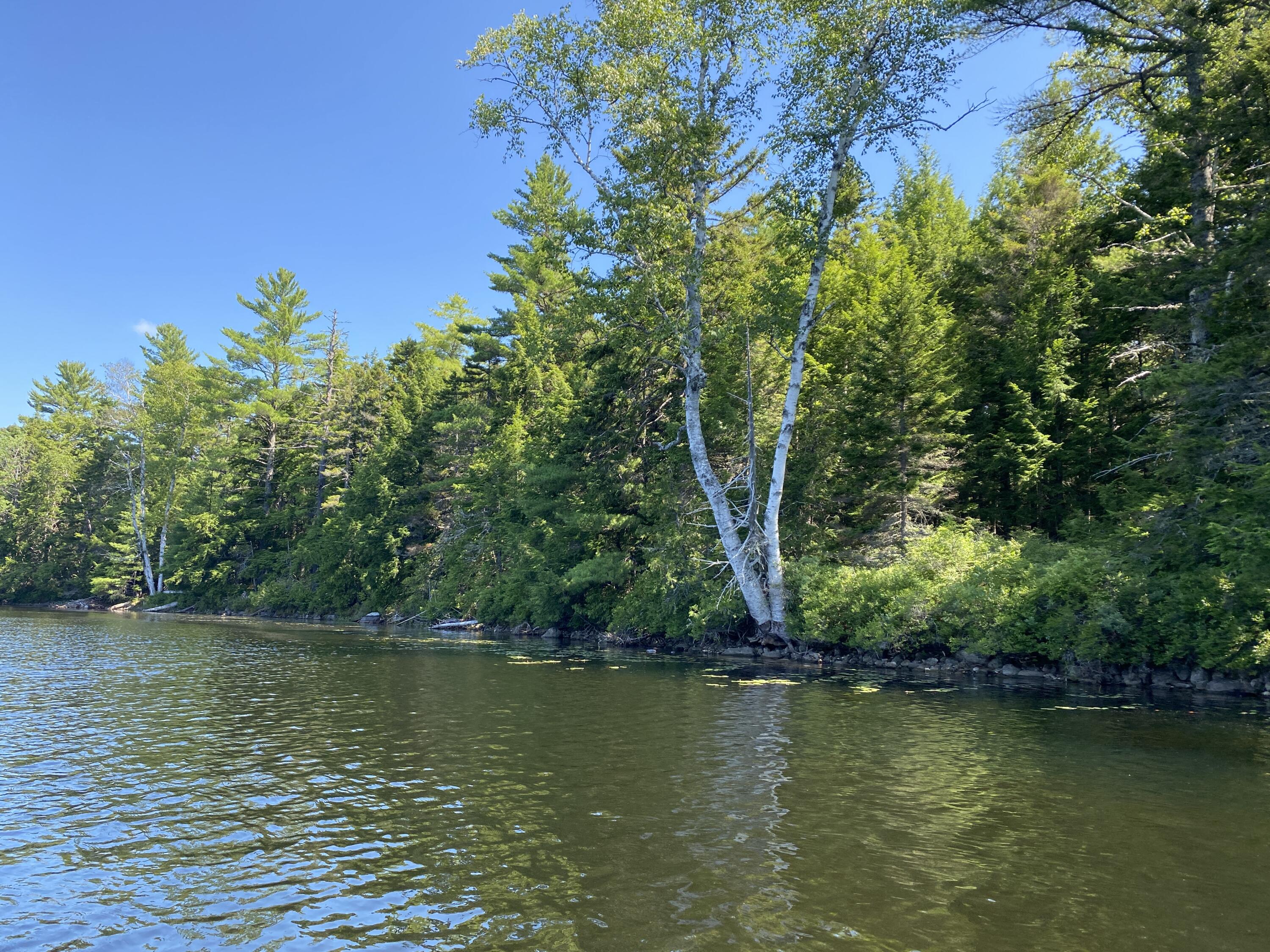 Tbd Depot Road Lakeville, ME 04487 - Photo 51 of 56