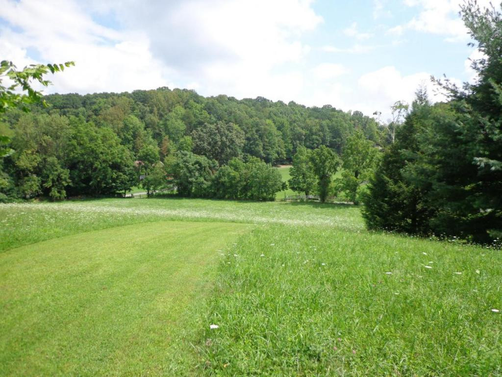 172 Marion Branch Road Elizabethton, TN 37643 - Photo 5 of 15 Photo 5