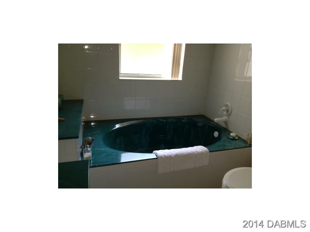 37 Calumet Avenue Ponce Inlet, FL 32127 - Photo 13 of 20 Additional Photo