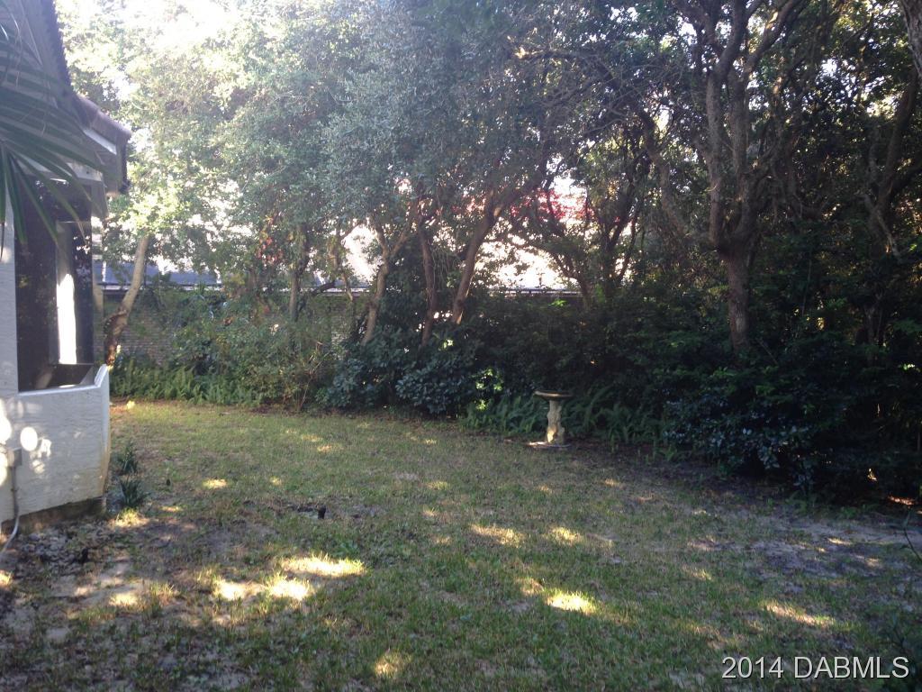 37 Calumet Avenue Ponce Inlet, FL 32127 - Photo 19 of 20 Additional Photo