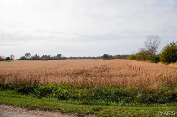 $2,200,000 | 312 Pike County Road, Bowling Green, MO 63334