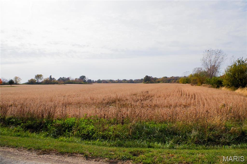 312 Pike County Road Bowling Green, MO 63334 - Photo 2 of 8