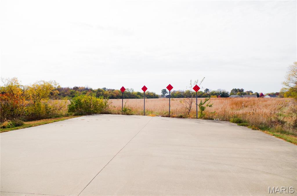 312 Pike County Road Bowling Green, MO 63334 - Photo 3 of 8