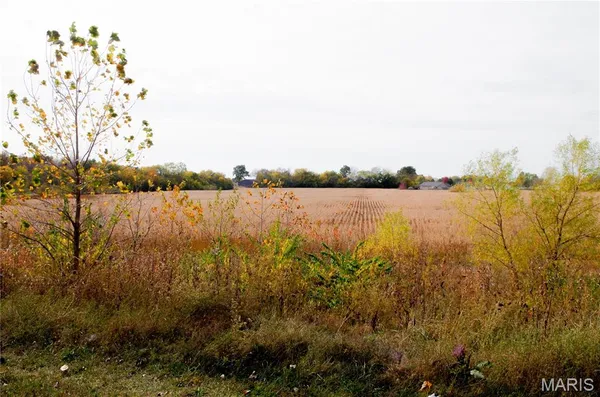 $2,200,000 | 312 Pike County Road, Bowling Green, MO 63334