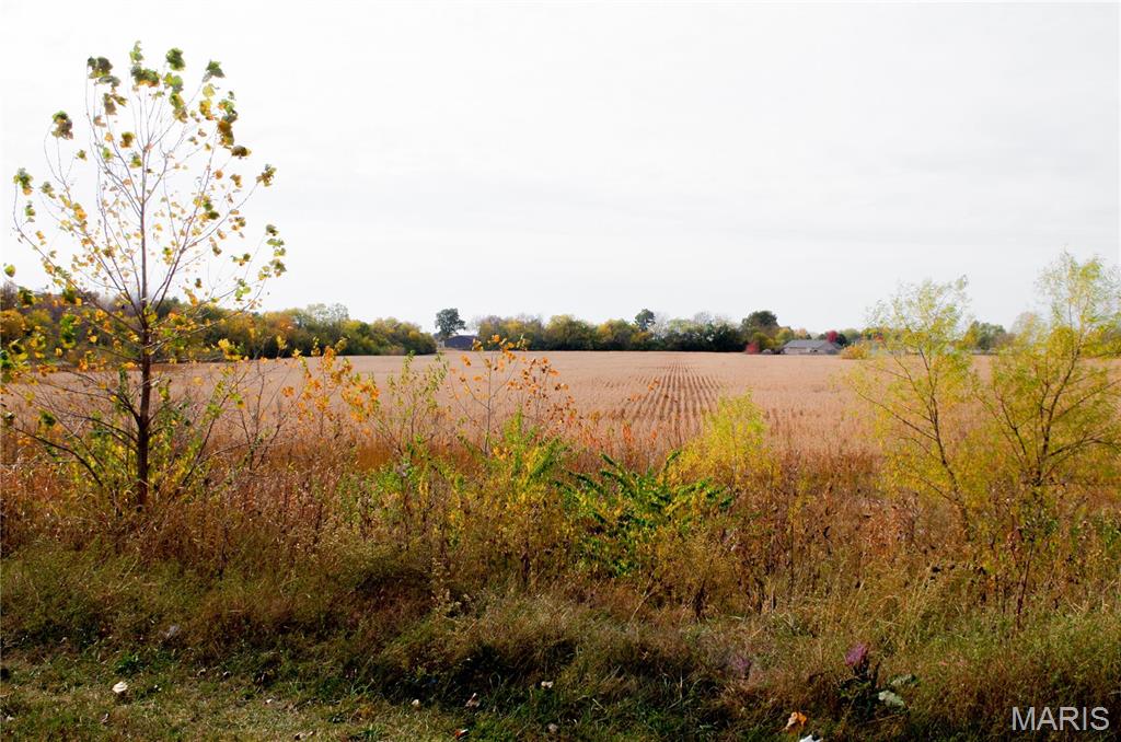 312 Pike County Road Bowling Green, MO 63334 - Photo 4 of 8