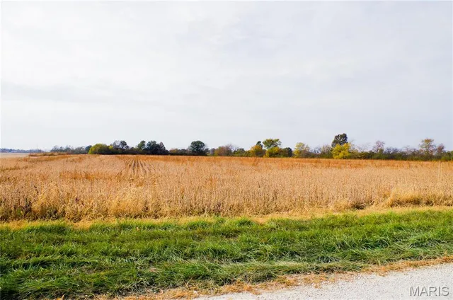 $2,200,000 | 312 Pike County Road, Bowling Green, MO 63334