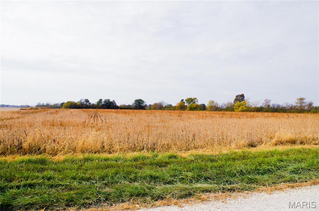 312 Pike County Road Bowling Green, MO 63334 - Photo 5 of 8