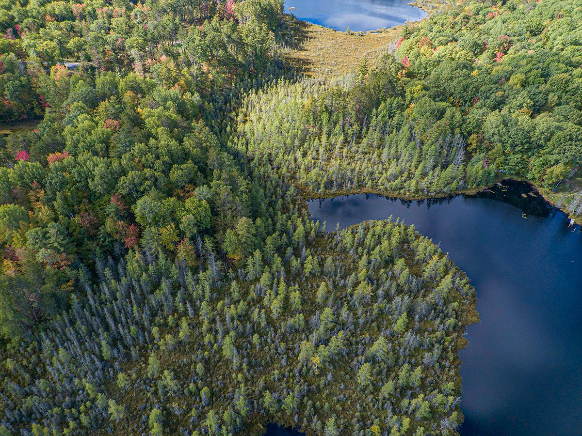3742 North Faust Lk Road Rhinelander, WI 54501 - Photo 35 of 51 Gallery Image 35
