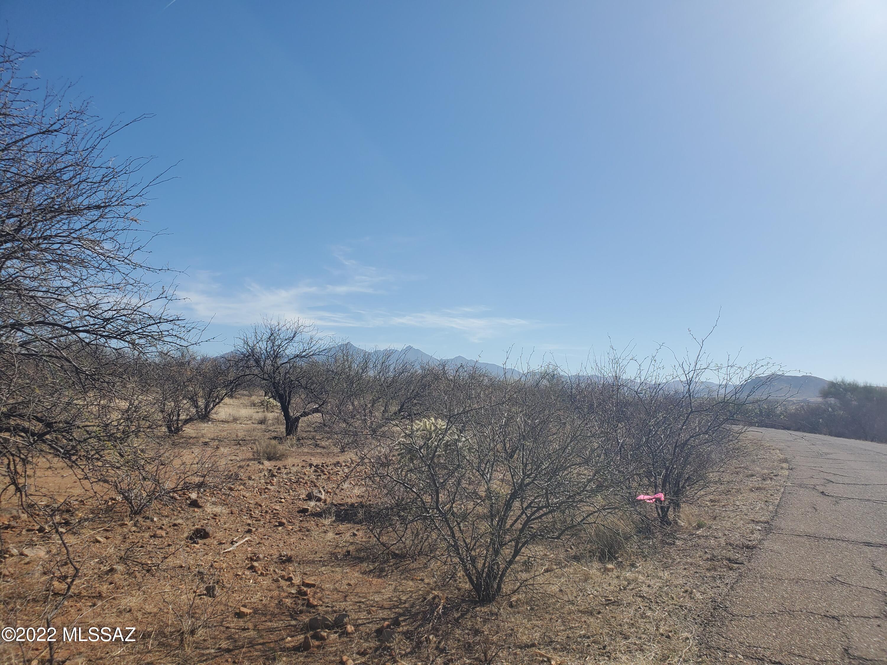 1723 Circulo Suecia, Unit 2 Rio Rico, AZ 85648 - Photo 5 of 5