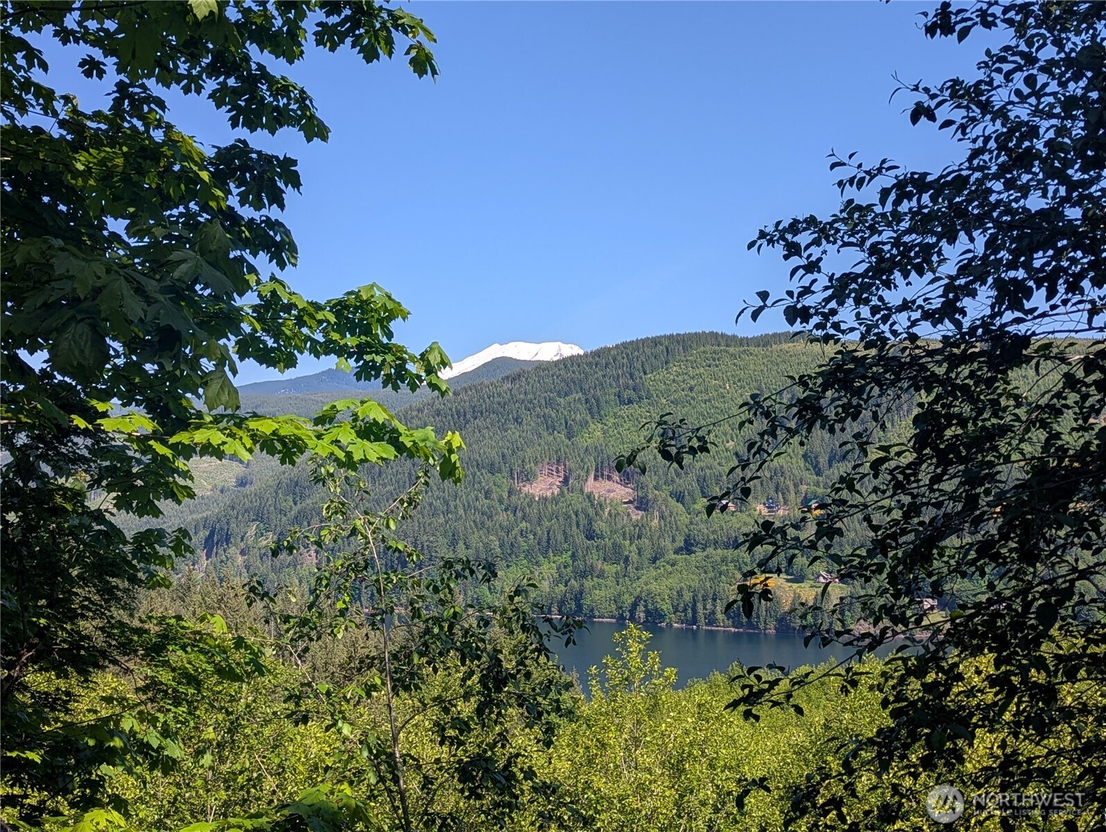 a view of a lake with a building in the background