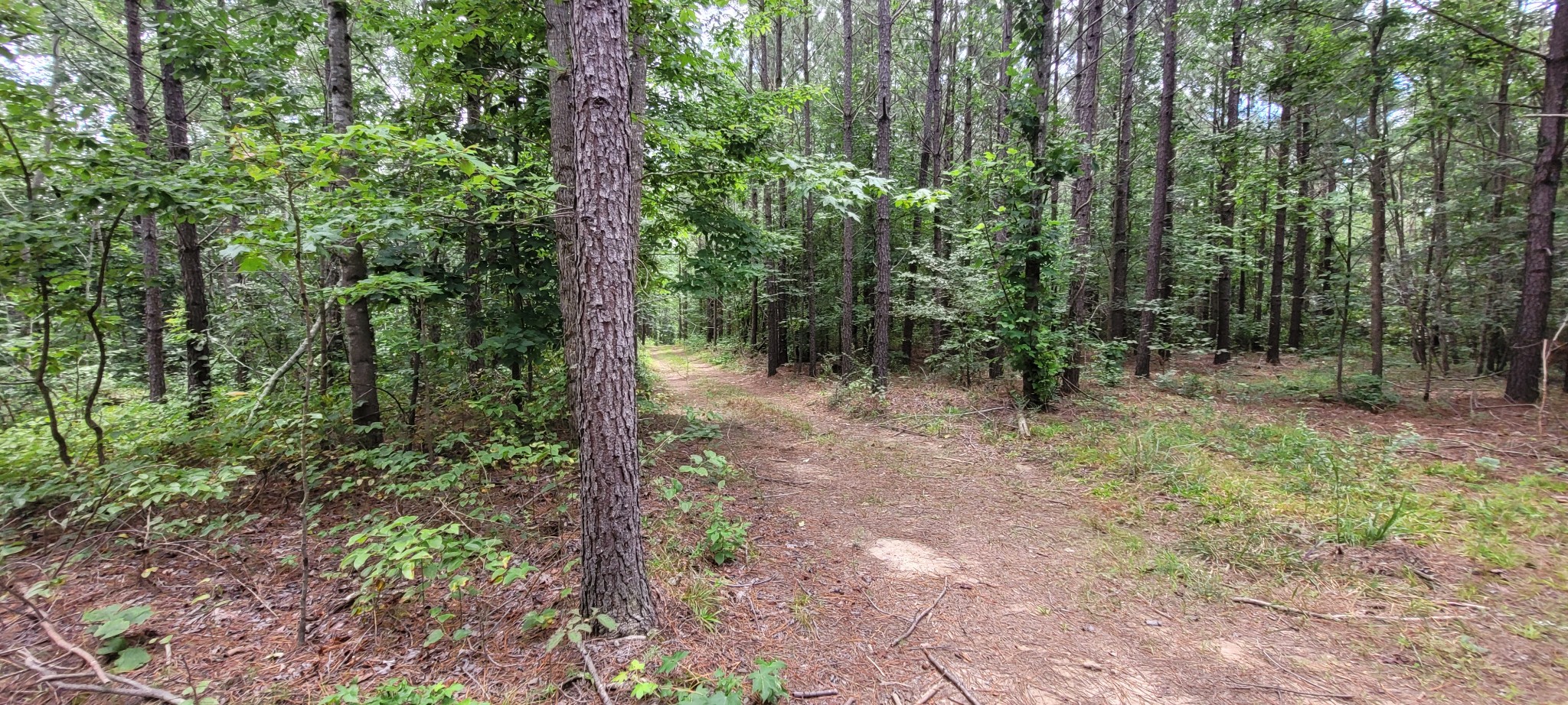 167 Freeman Fielder Road Tennessee Ridge, TN 37178 - Photo 27 of 60