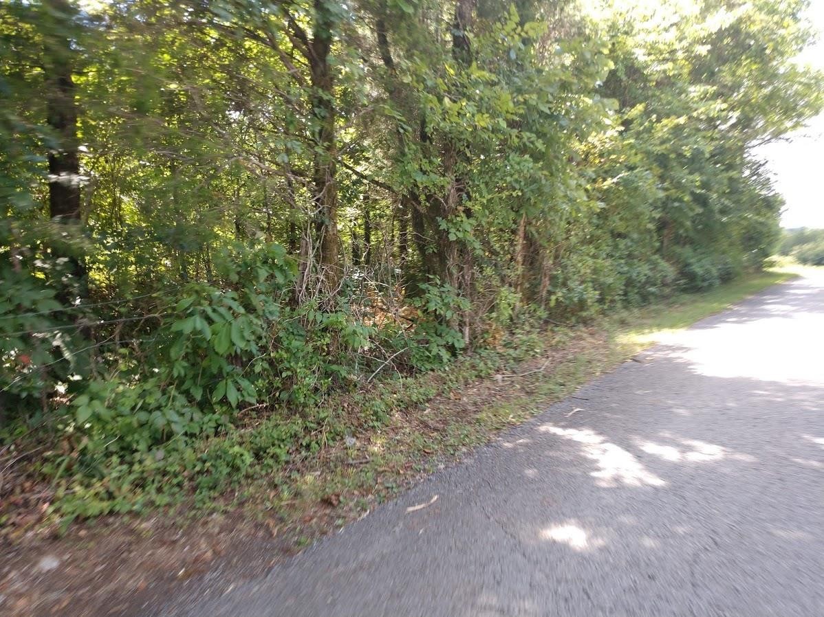 2366 Tracy Road Watertown, TN 37184 - Photo 23 of 25 a view of a yard with a tree
