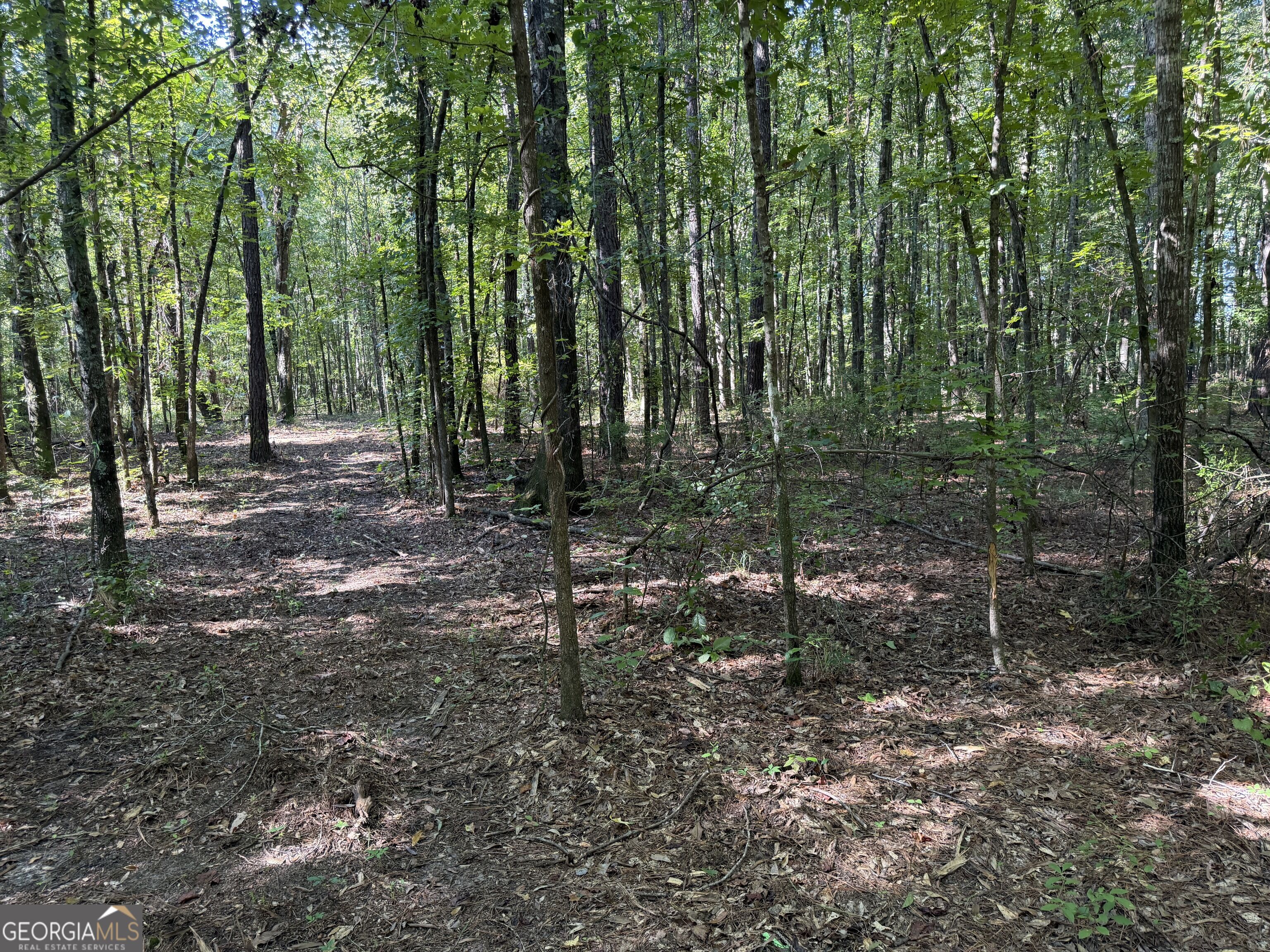 0 Pig Road Bartow, GA 30413 - Photo 27 of 44 Gallery Image 27