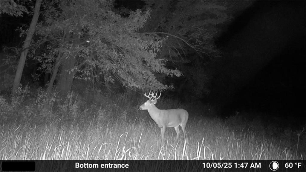 Northwest Waller Road Richmond, MO 64085 - Photo 73 of 80