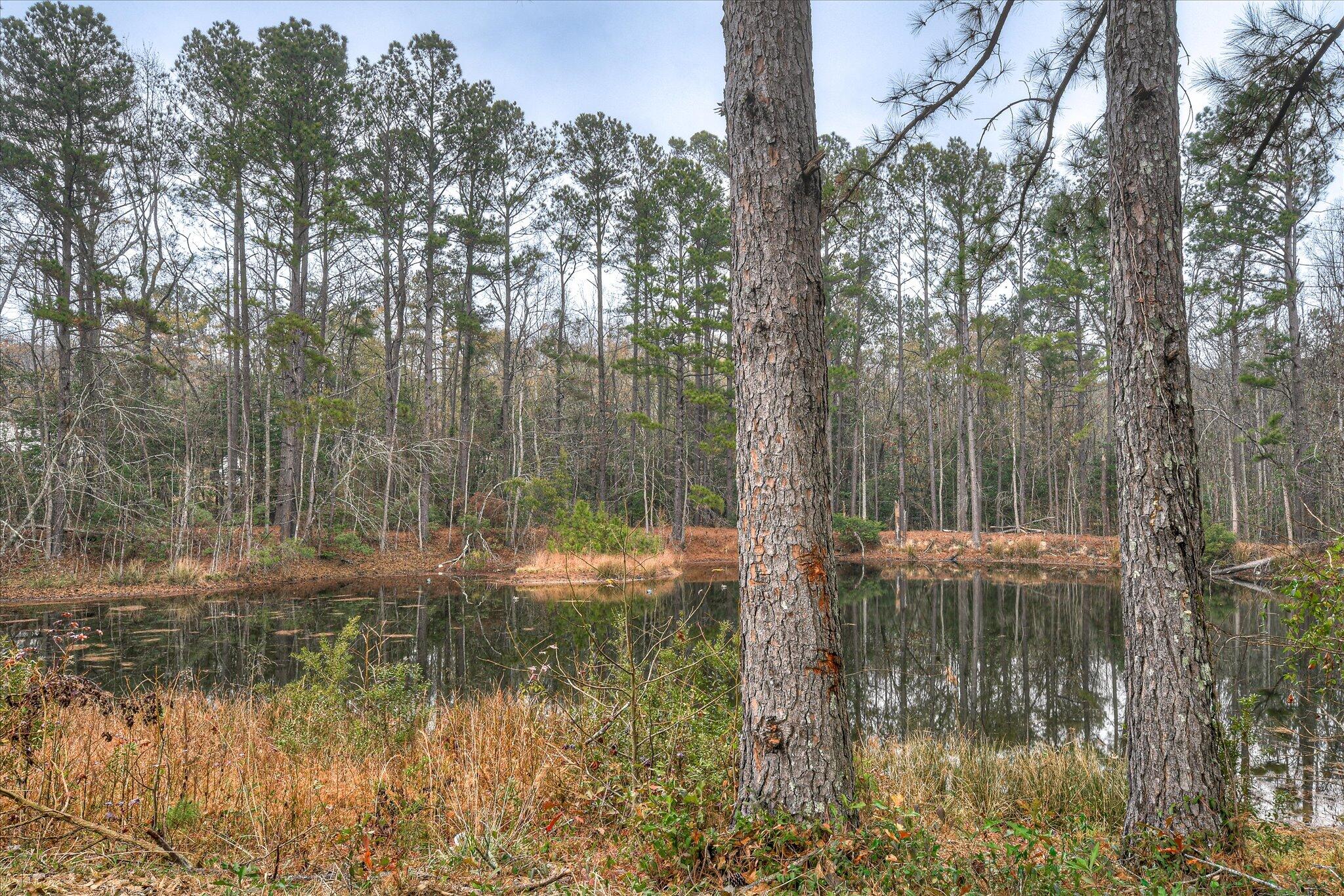 900 County Line Road Harlem, GA 30814 - Photo 54 of 56 55-155