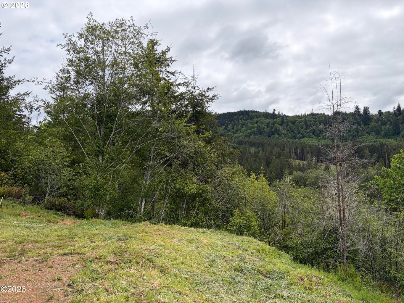 301 Upper Nestucca River Road Beaver, OR 97108 - Photo 12 of 23