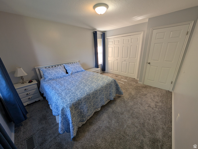 897 East 1200 North Mapleton, UT 84664 - Photo 29 of 54 Primary bedroom with a closet