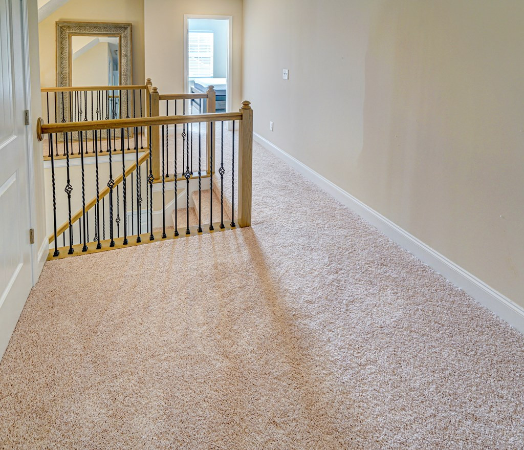1325 Oak Ridge Plantation Road Hephzibah, GA 30815 - Photo 19 of 27