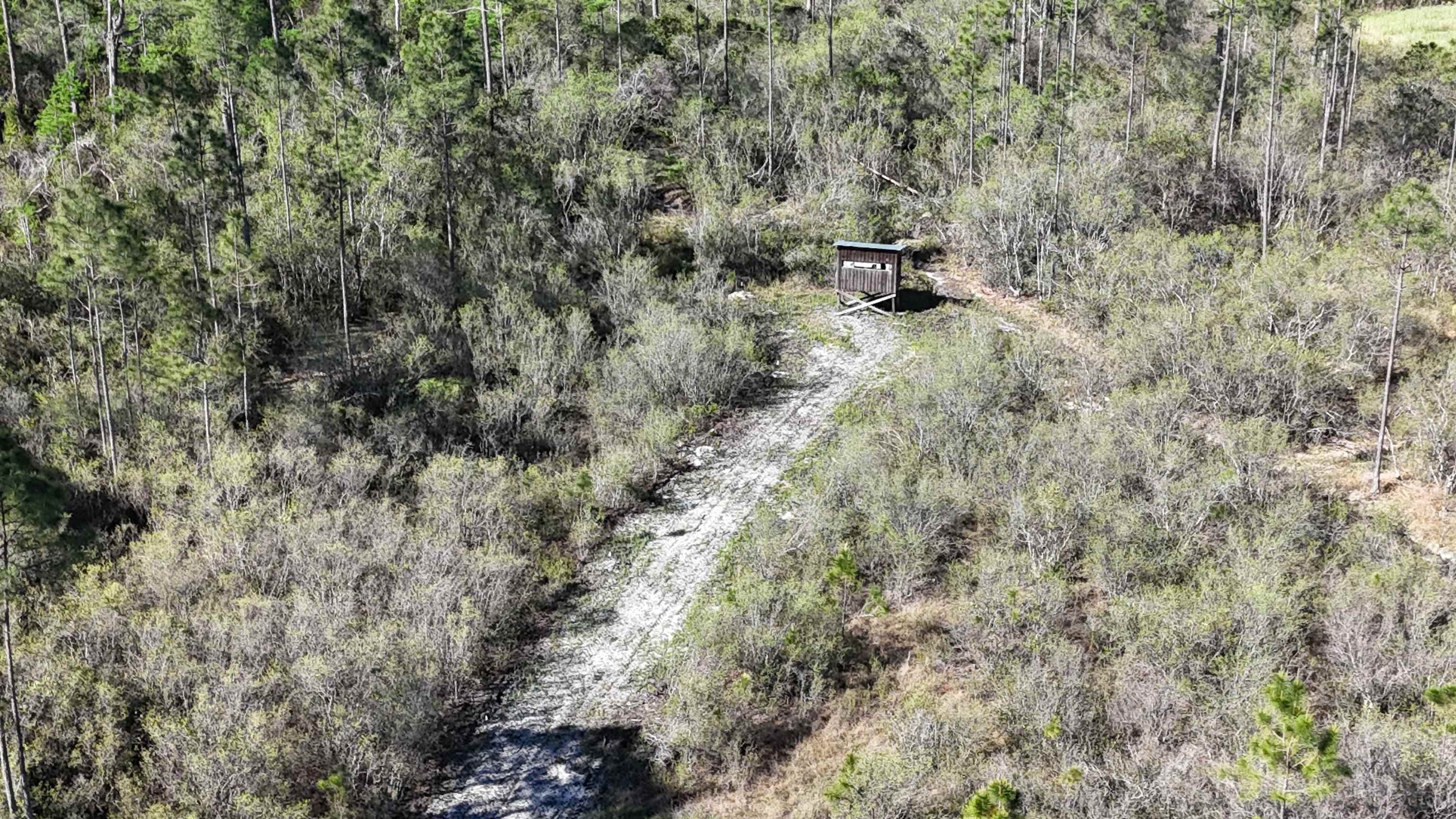 0 Madison Main Line Road Perry, FL 32347 - Photo 6 of 50