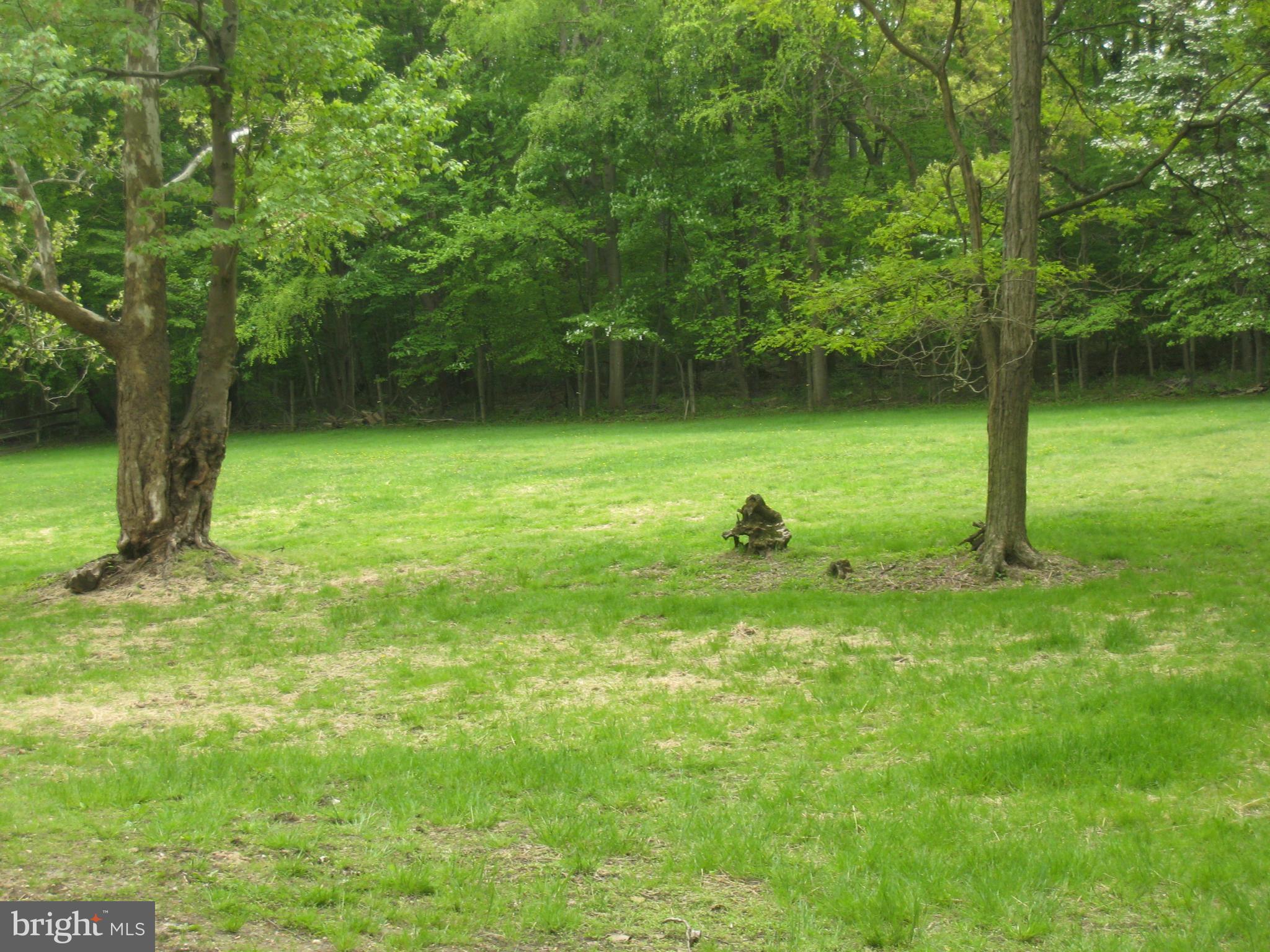 985 Chesterfield Road Annapolis, MD 21401 - Photo 25 of 30 a backyard of a house with lots of green space