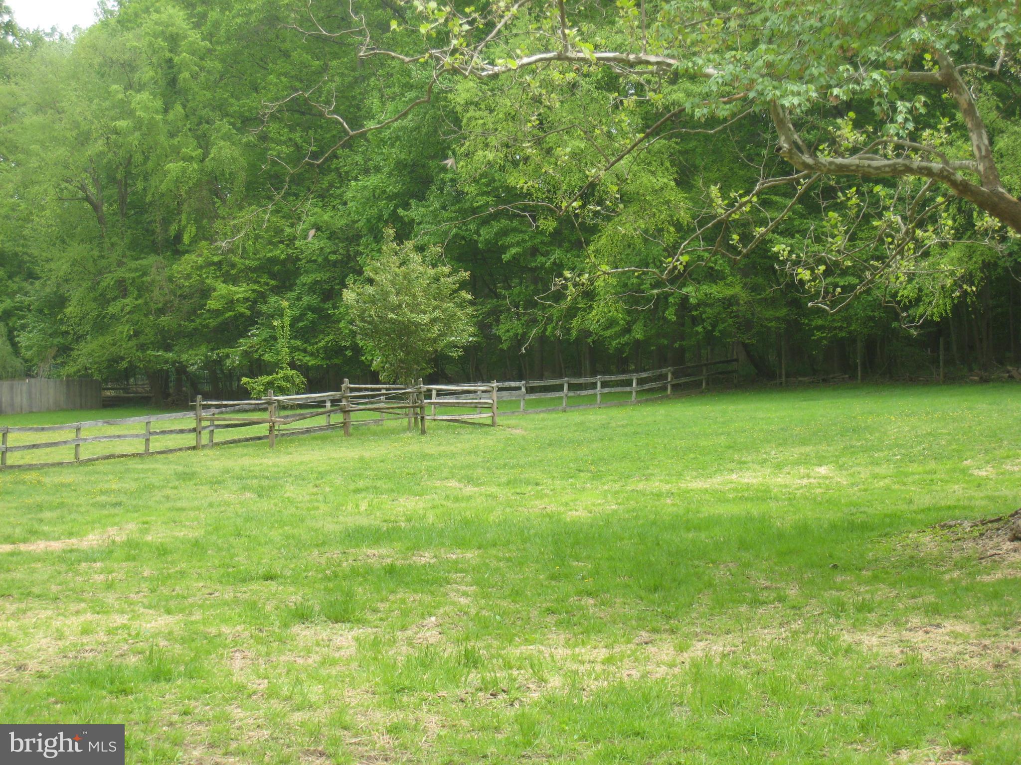 985 Chesterfield Road Annapolis, MD 21401 - Photo 26 of 30 a view of a green yard