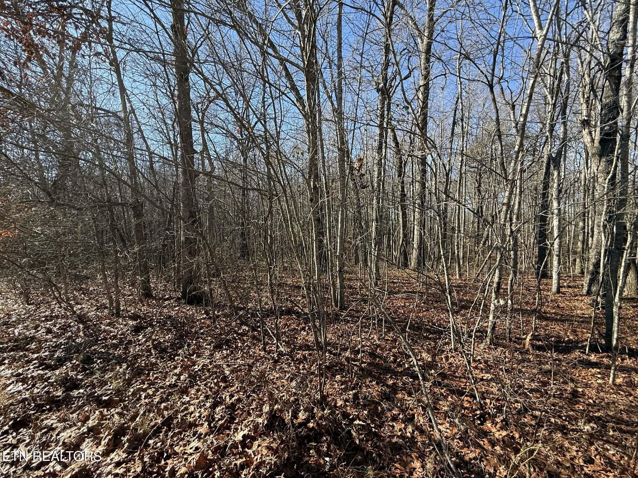 0 Georgee Road Jamestown, TN 38556 - Photo 2 of 13