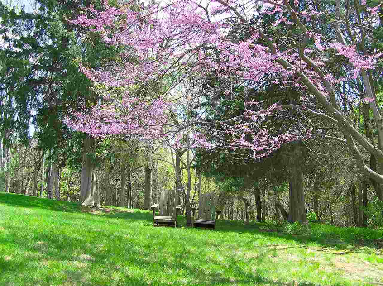 315 Harrison Drive Raphine, VA 24472 - Photo 44 of 47 Gallery Image 44