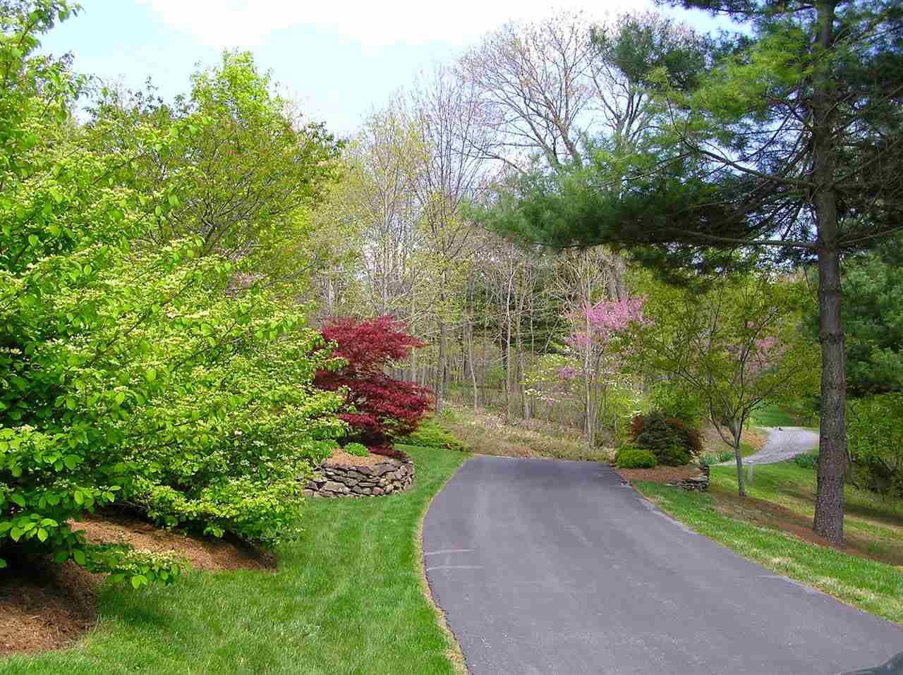 315 Harrison Drive Raphine, VA 24472 - Photo 46 of 47 Gallery Image 46