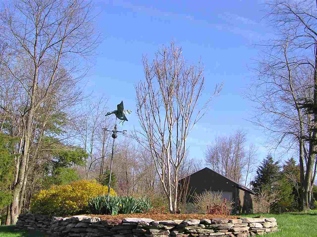 315 Harrison Drive Raphine, VA 24472 - Photo 8 of 47 Gallery Image 8