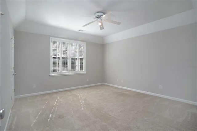 a view of a backyard with plants and a tree