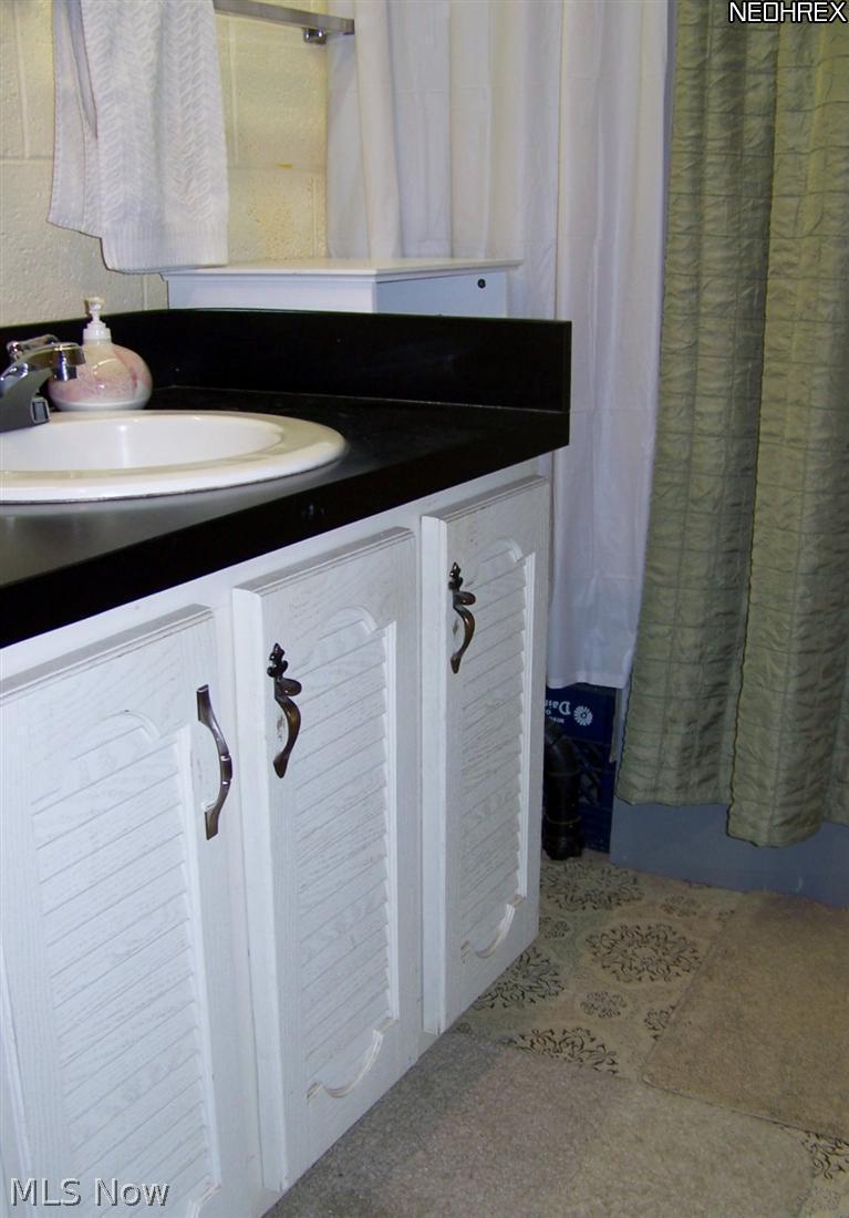 9135 Coon Club Road Medina, OH 44256 - Photo 13 of 21 Lower level full bath