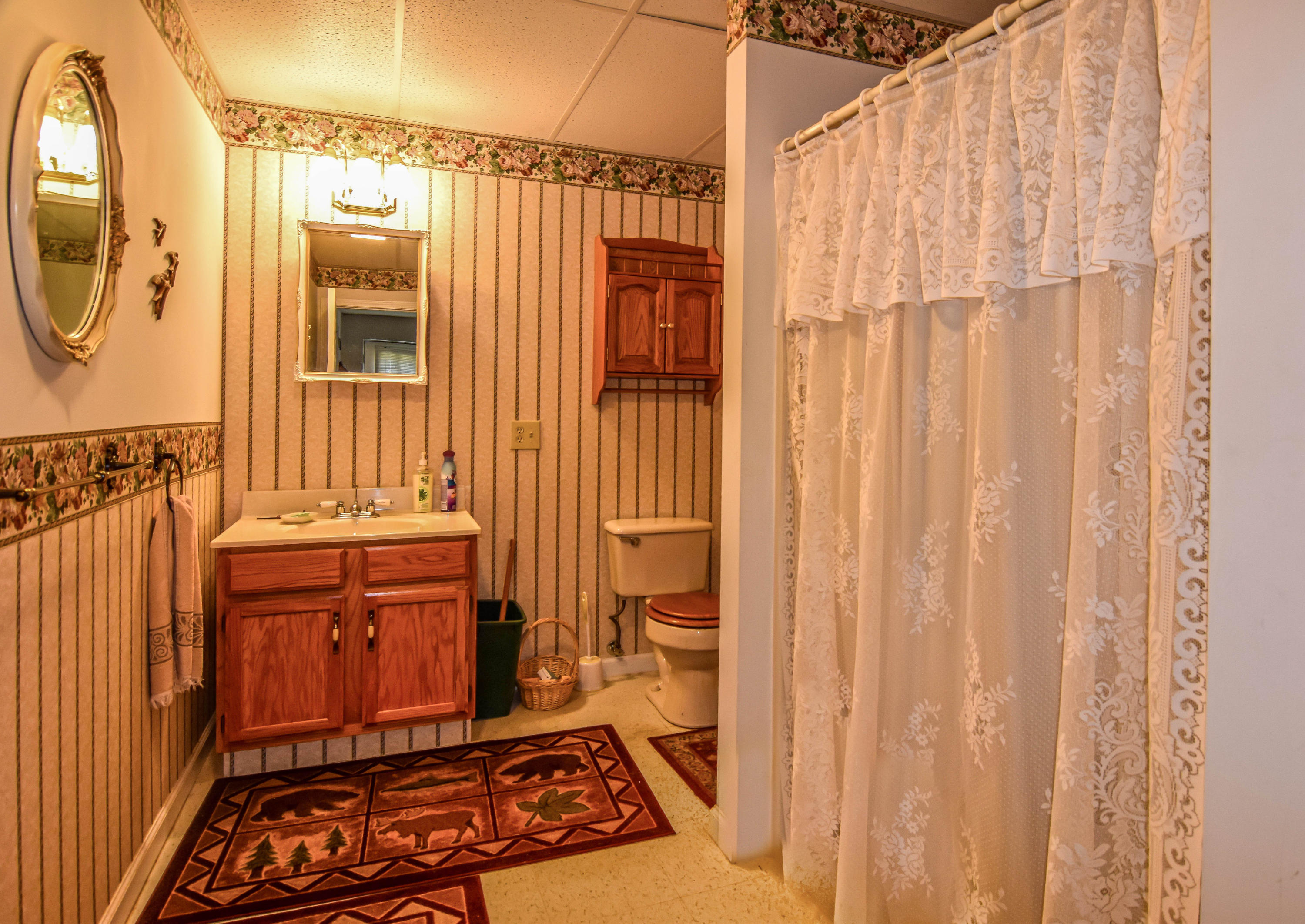 390 Cate Byrd Road Kodak, TN 37764 - Photo 14 of 18 BasementBathroom-1