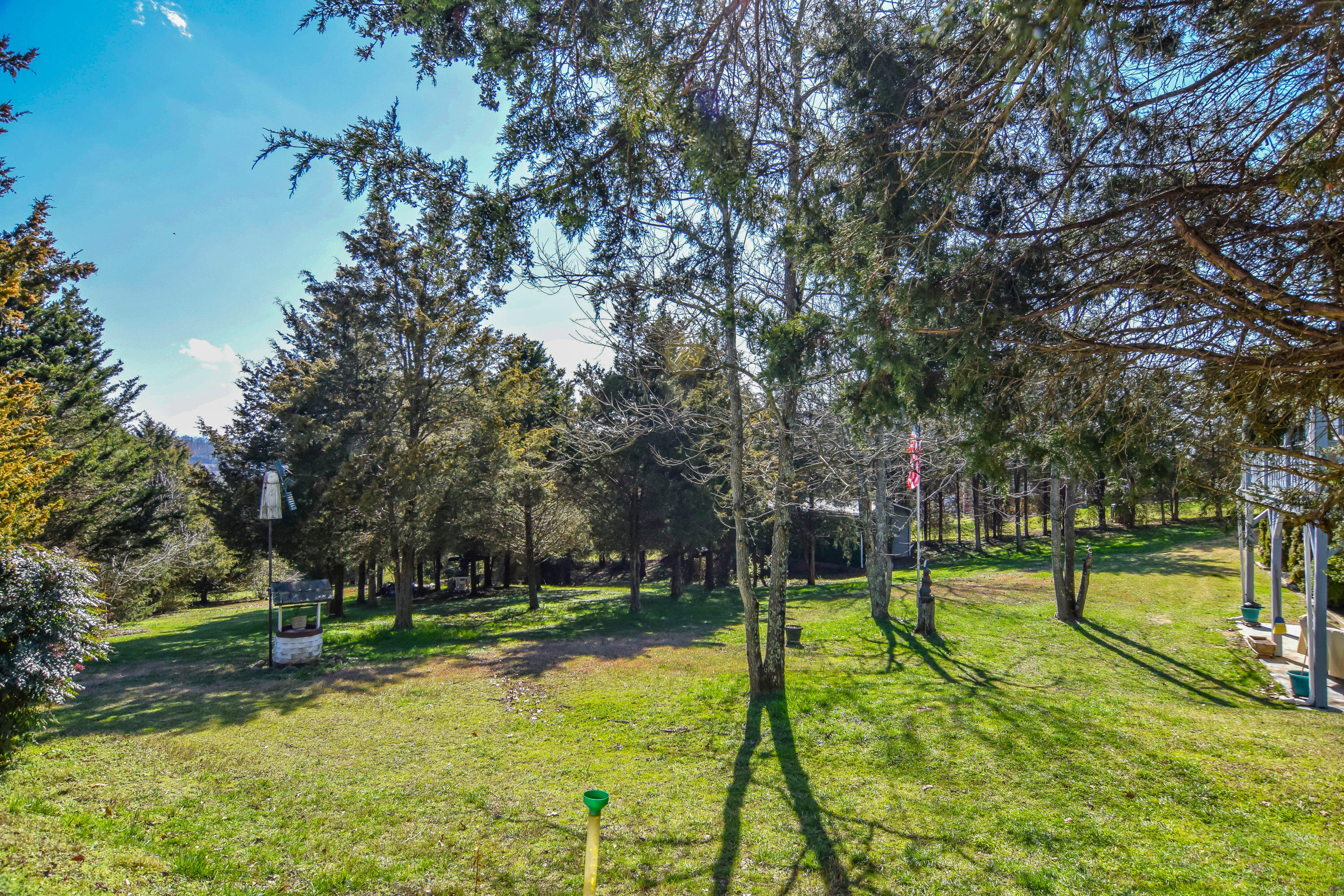 390 Cate Byrd Road Kodak, TN 37764 - Photo 17 of 18 Backyard-1