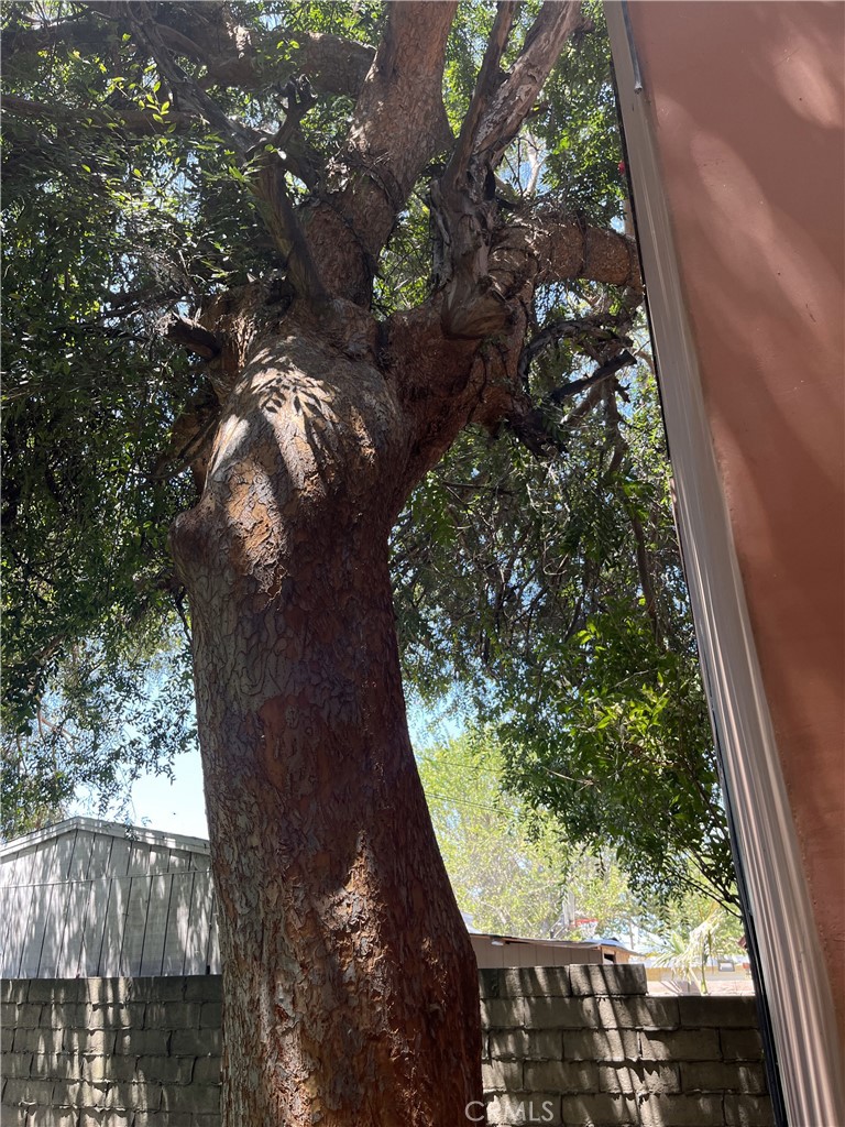 910 West Palmer Street Compton, CA 90220 - Photo 4 of 8 a view of a yard