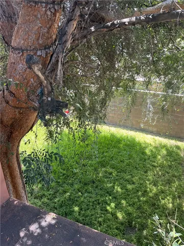 a view of a trees with a tree
