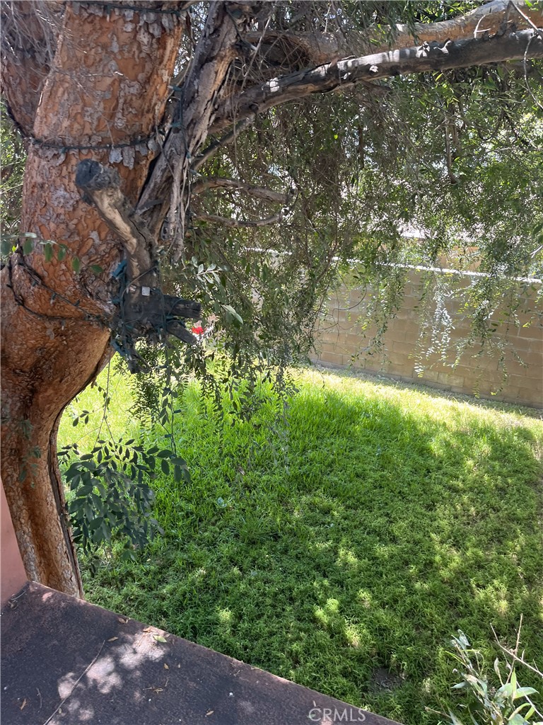 910 West Palmer Street Compton, CA 90220 - Photo 6 of 8 a view of a lake from a yard