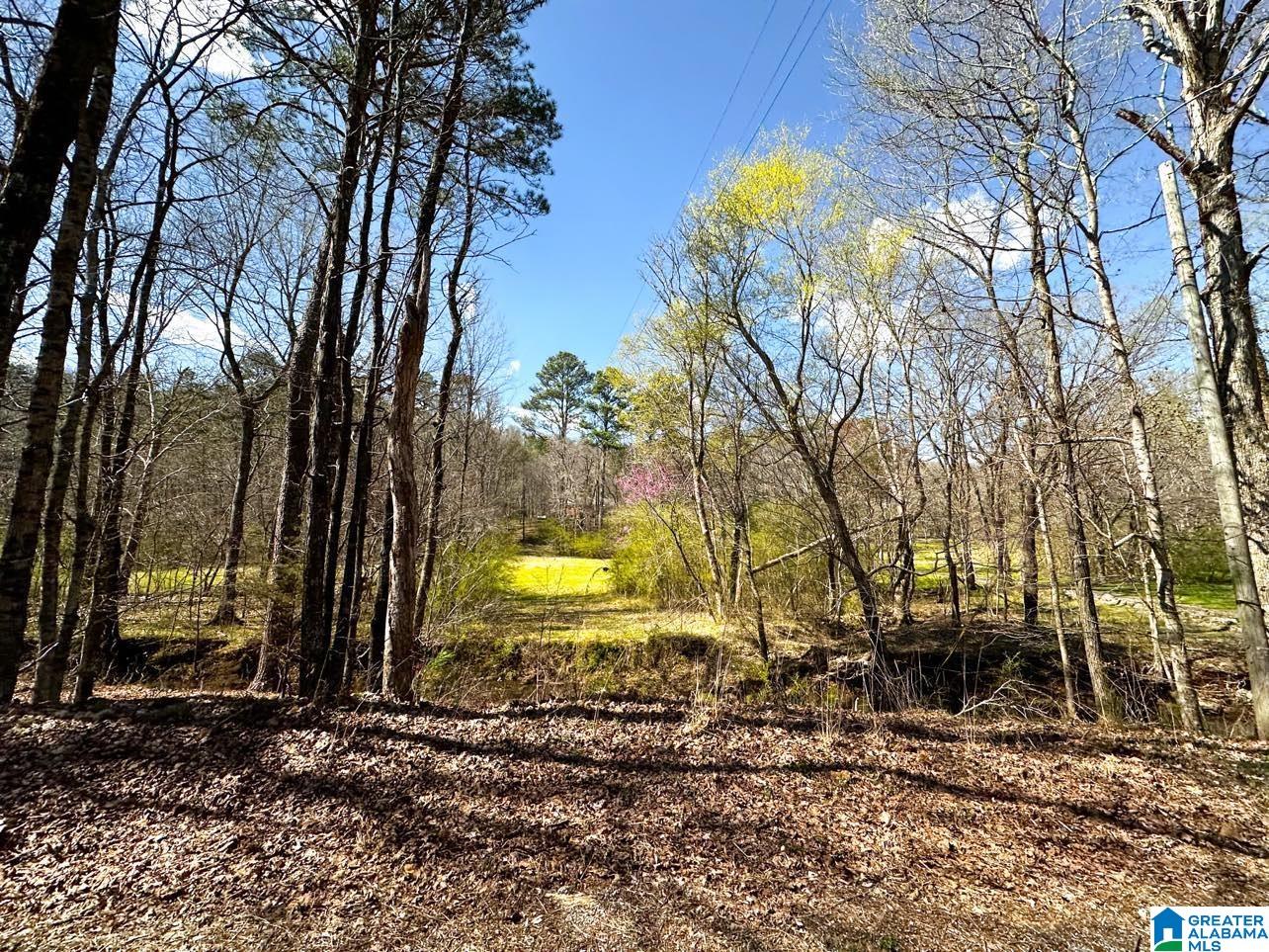 1931 Red Valley Road Remlap, AL 35133 - Photo 12 of 17