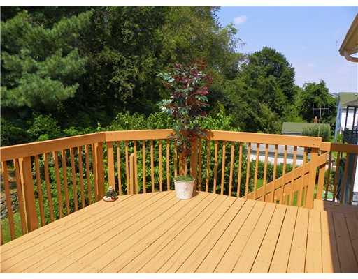 1111 Rostraver Street Monessen, PA 15062 - Photo 5 of 18 Patio/Deck. The rear deck overlooks a lovely landscaped back yard and the woods beyond.
