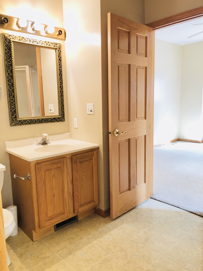 1381 Axcel Lane Sycamore, IL 60178 - Photo 16 of 39 a bathroom with a sink a mirror and a shower