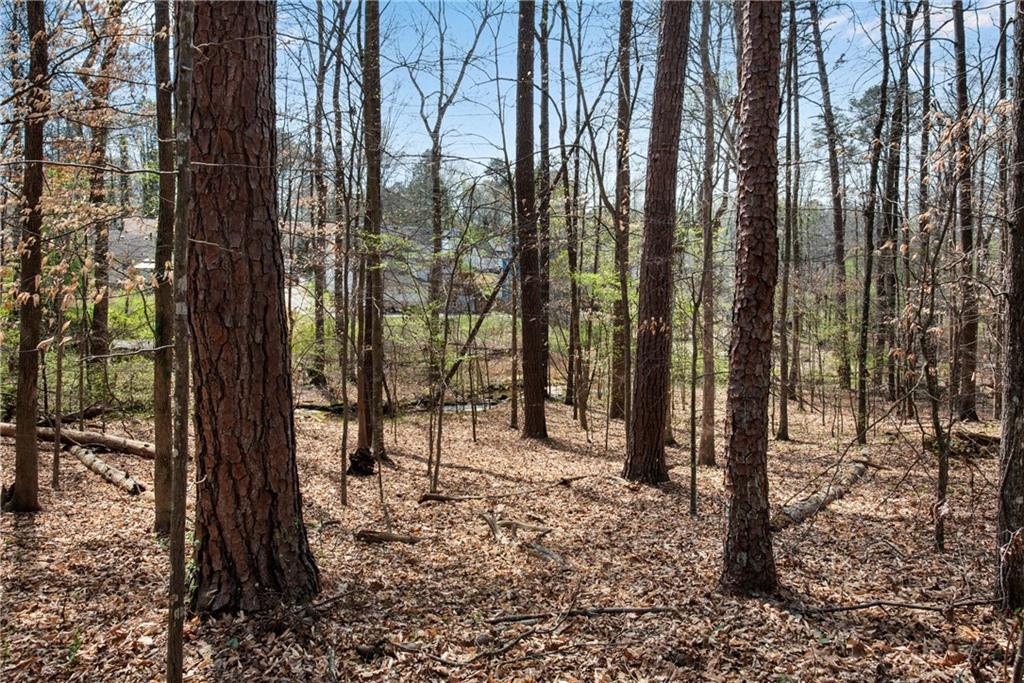 5271 Fox Path Stone Mountain, GA 30088 - Photo 42 of 48