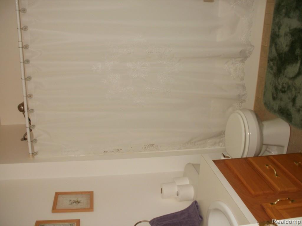 7893 Cribbins Road Croswell, MI 48422 - Photo 9 of 13 P4130014.jpg
