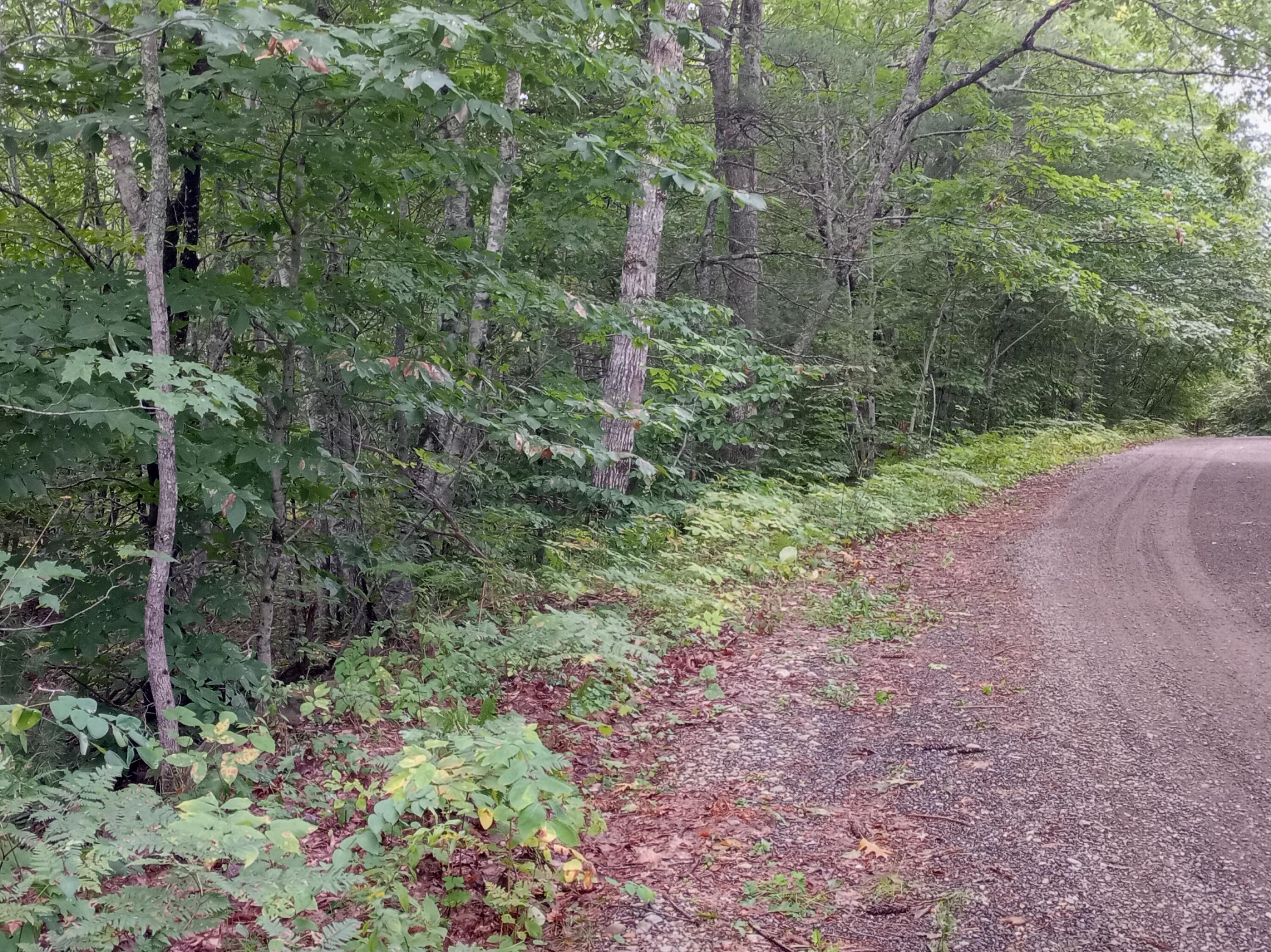 73 Duckpuddle Road Nobleboro, ME 04555 - Photo 1 of 3 20210916_080011~2