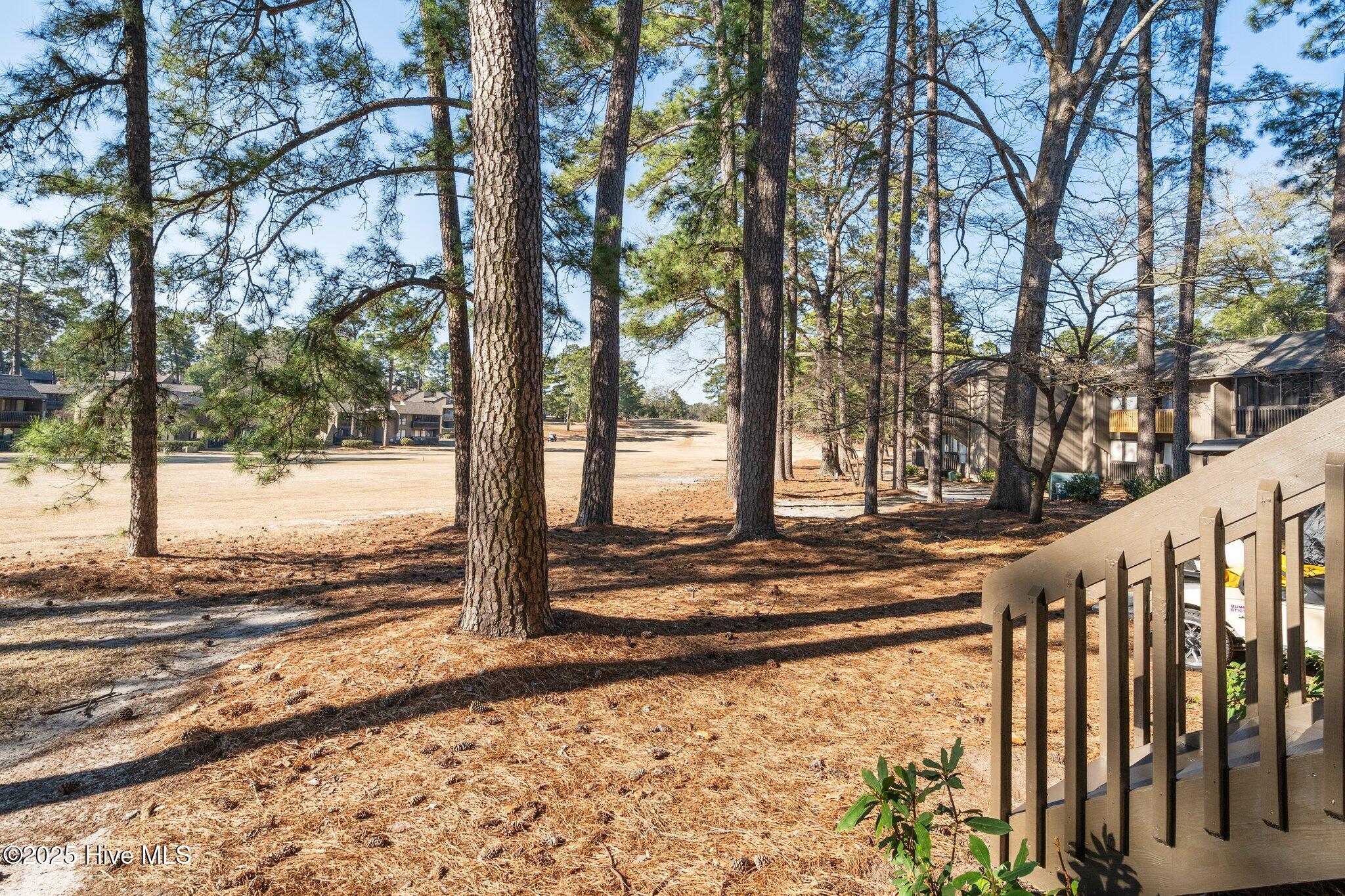 5 Pine Tree Road, Unit 116 Pinehurst, NC 28374 - Photo 26 of 42 42-web-or-mls-DSC07568
