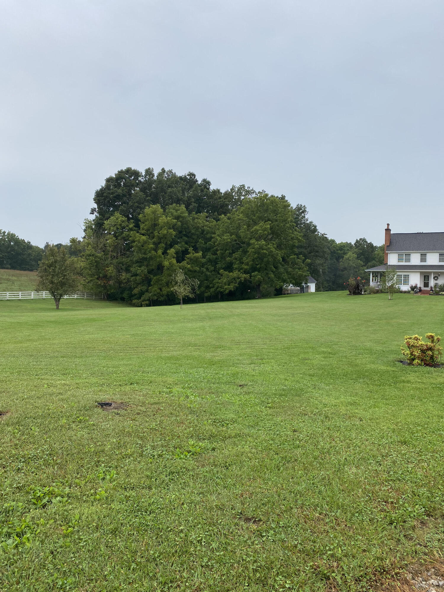 430 Derrickson Road Morehead, KY 40351 - Photo 73 of 74 IMG_5984