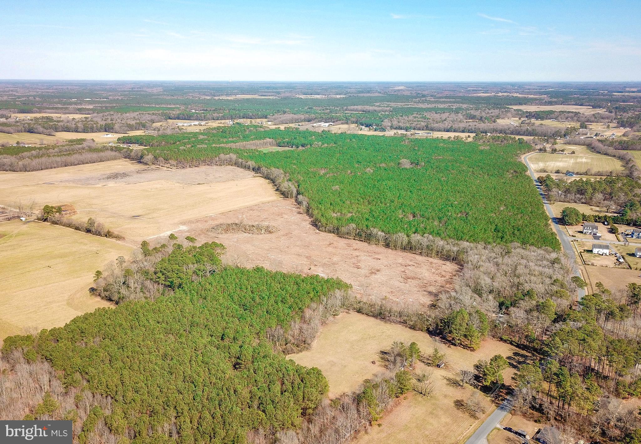 0 Melson Road Delmar, MD 21875 - Photo 4 of 16